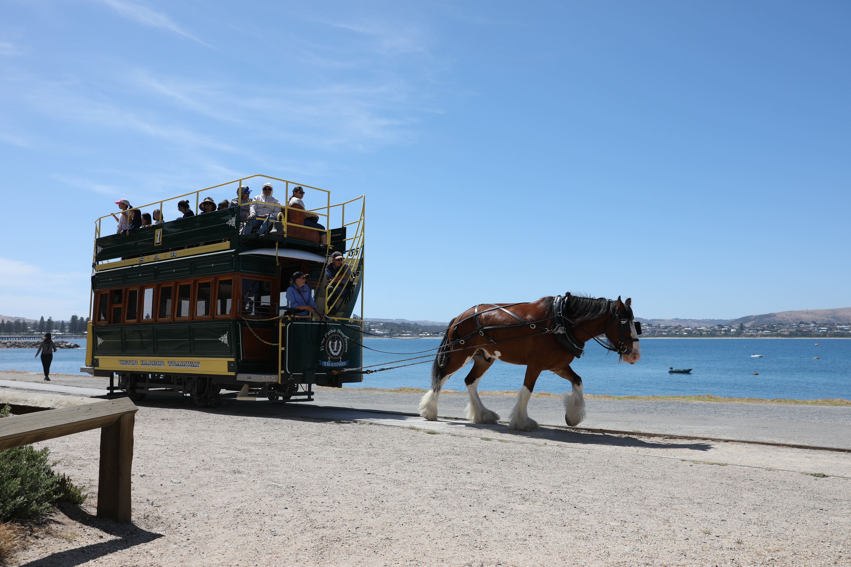 2019 11 24 15 04 37 Canon EOS 5D Mark IV 0023